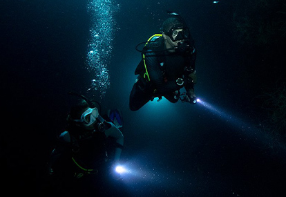 Two people diving at night.