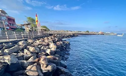 The pier on San Cristobal Island.